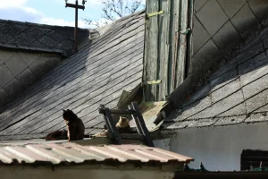 Metal Roof Problems